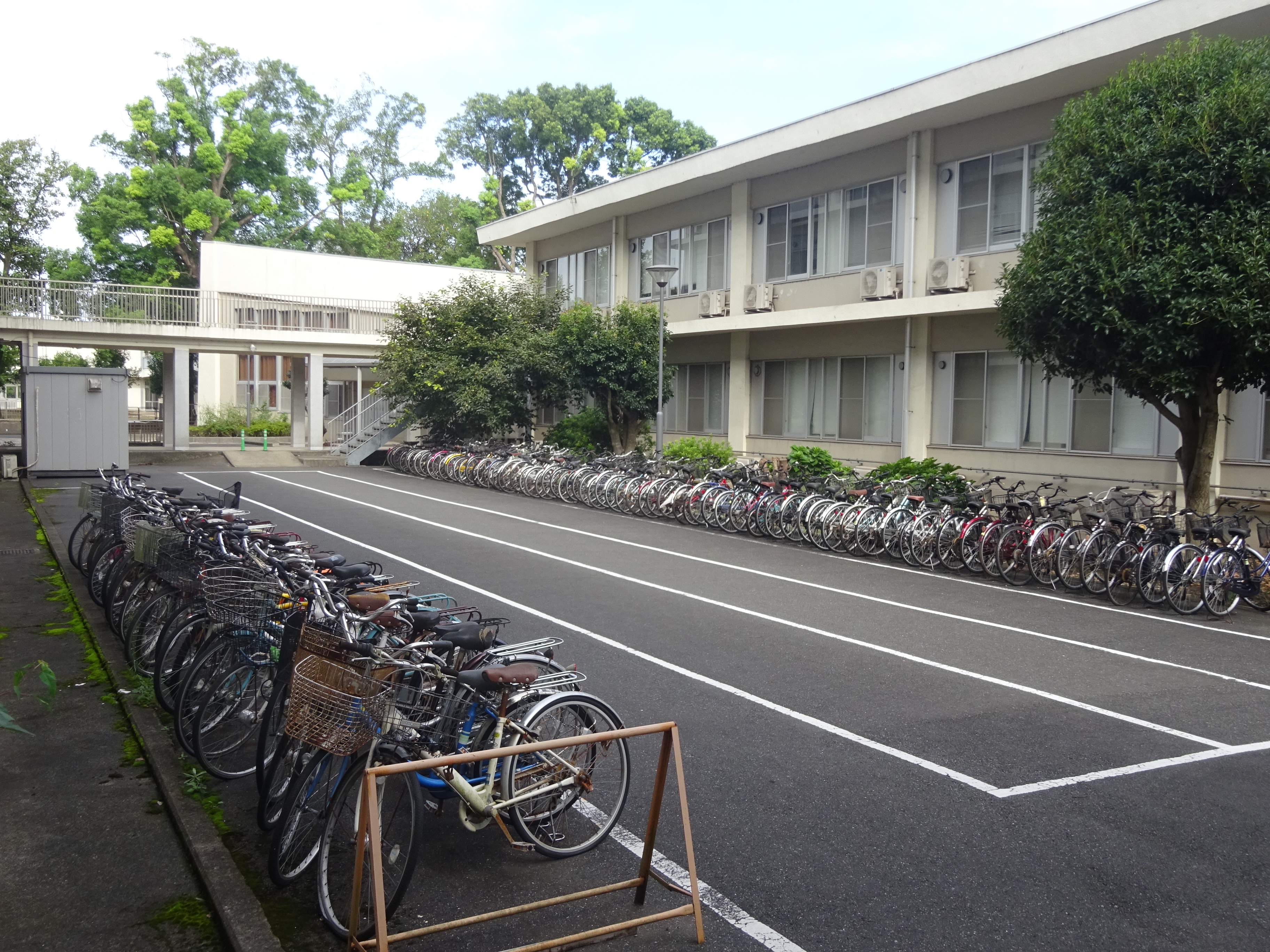 自転車置き場の写真①