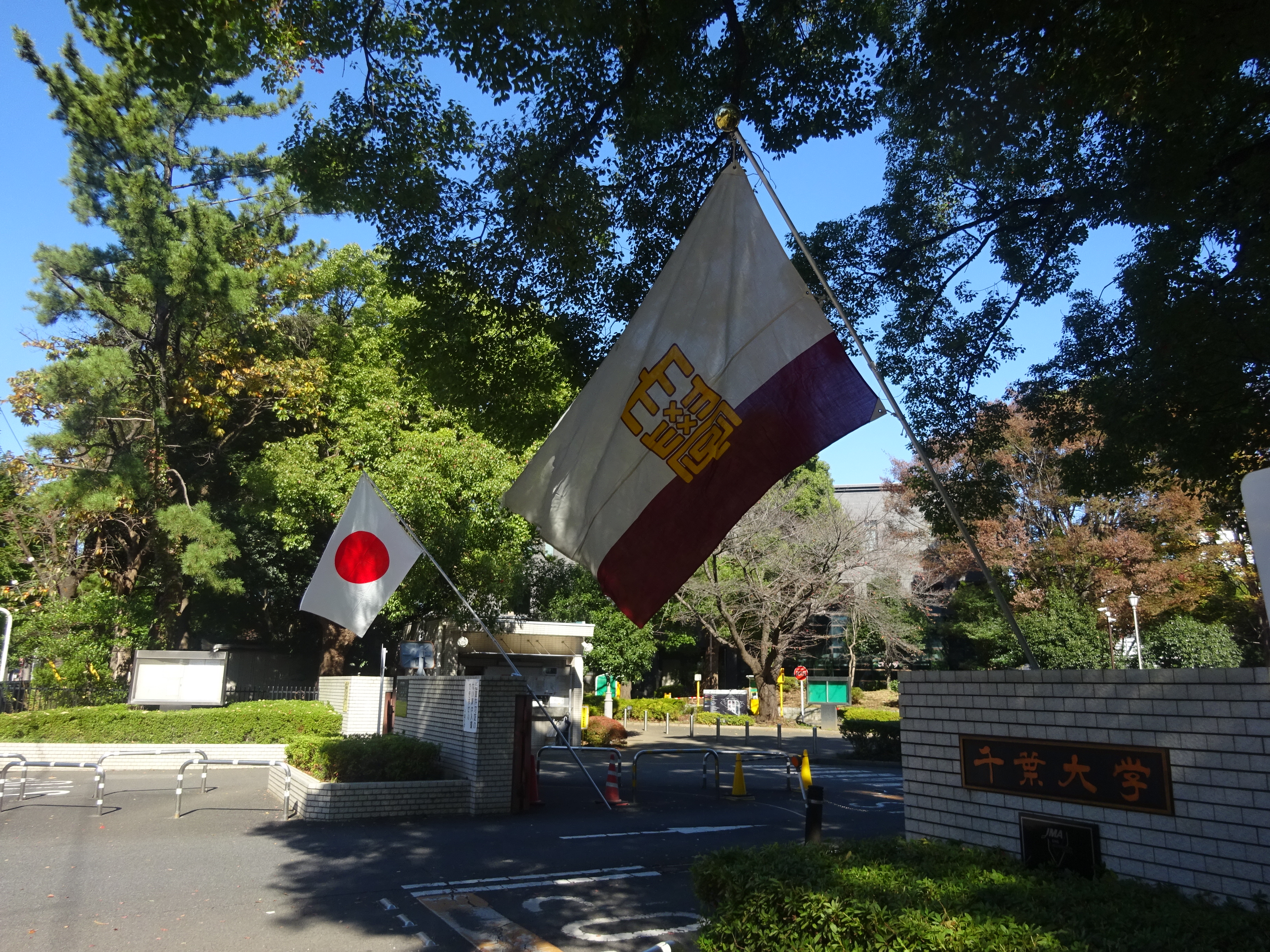 大学正門の様子の写真