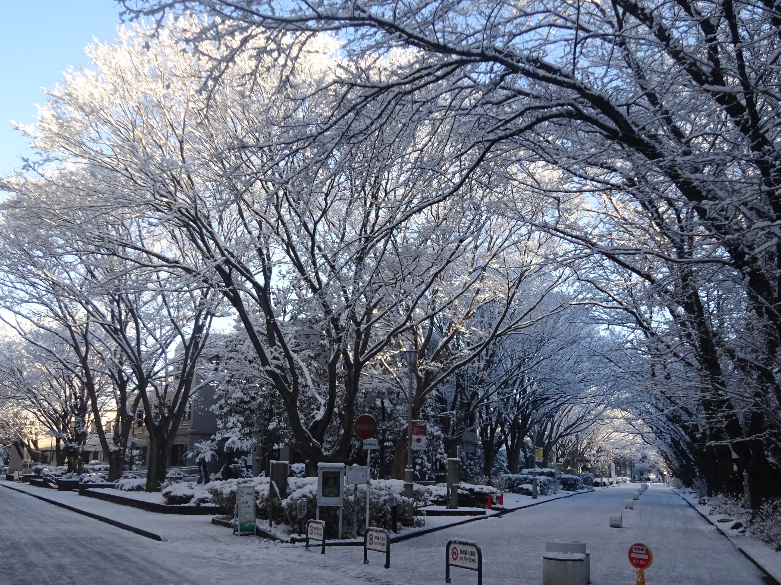 雪の構内