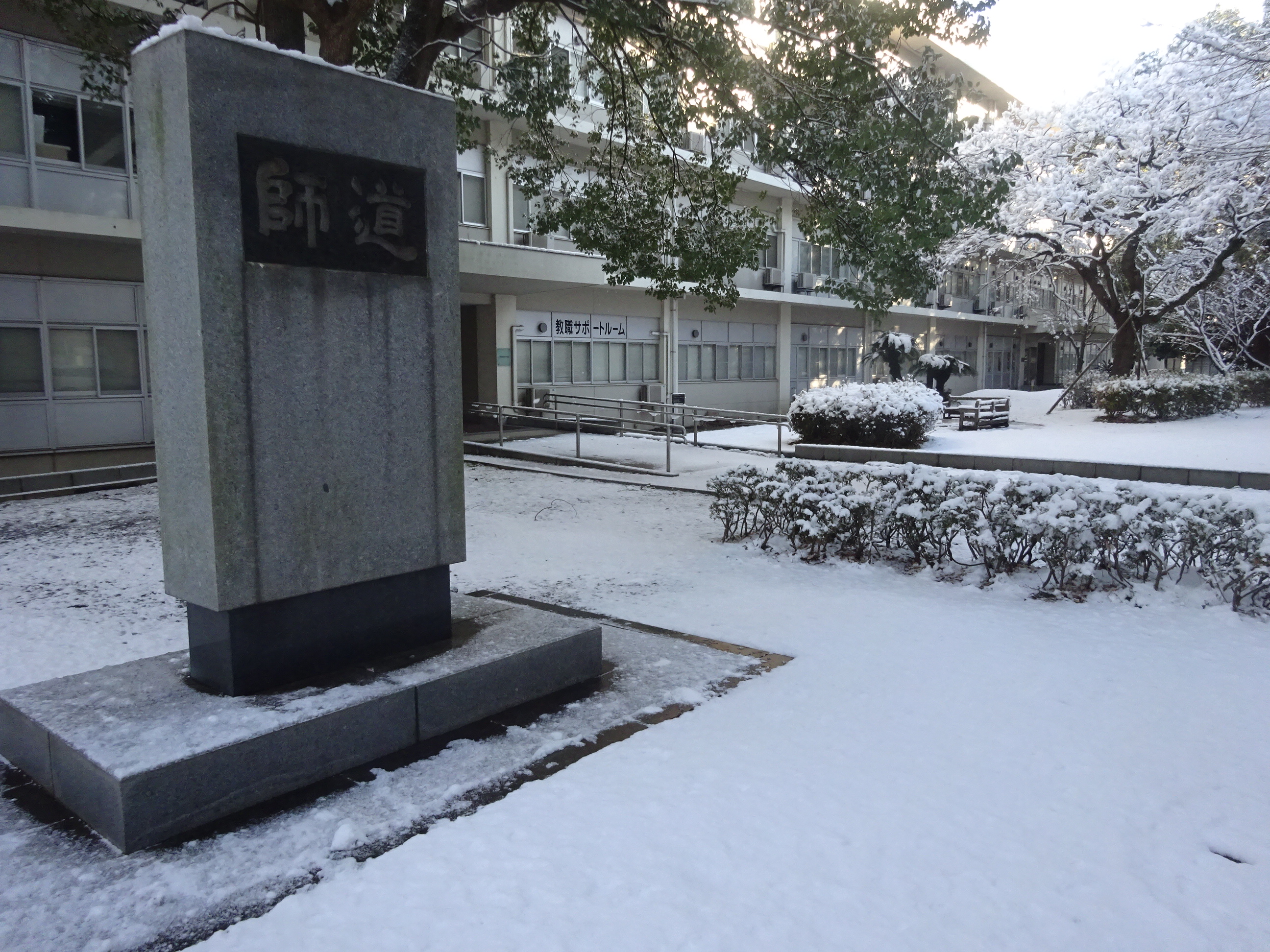 雪の構内