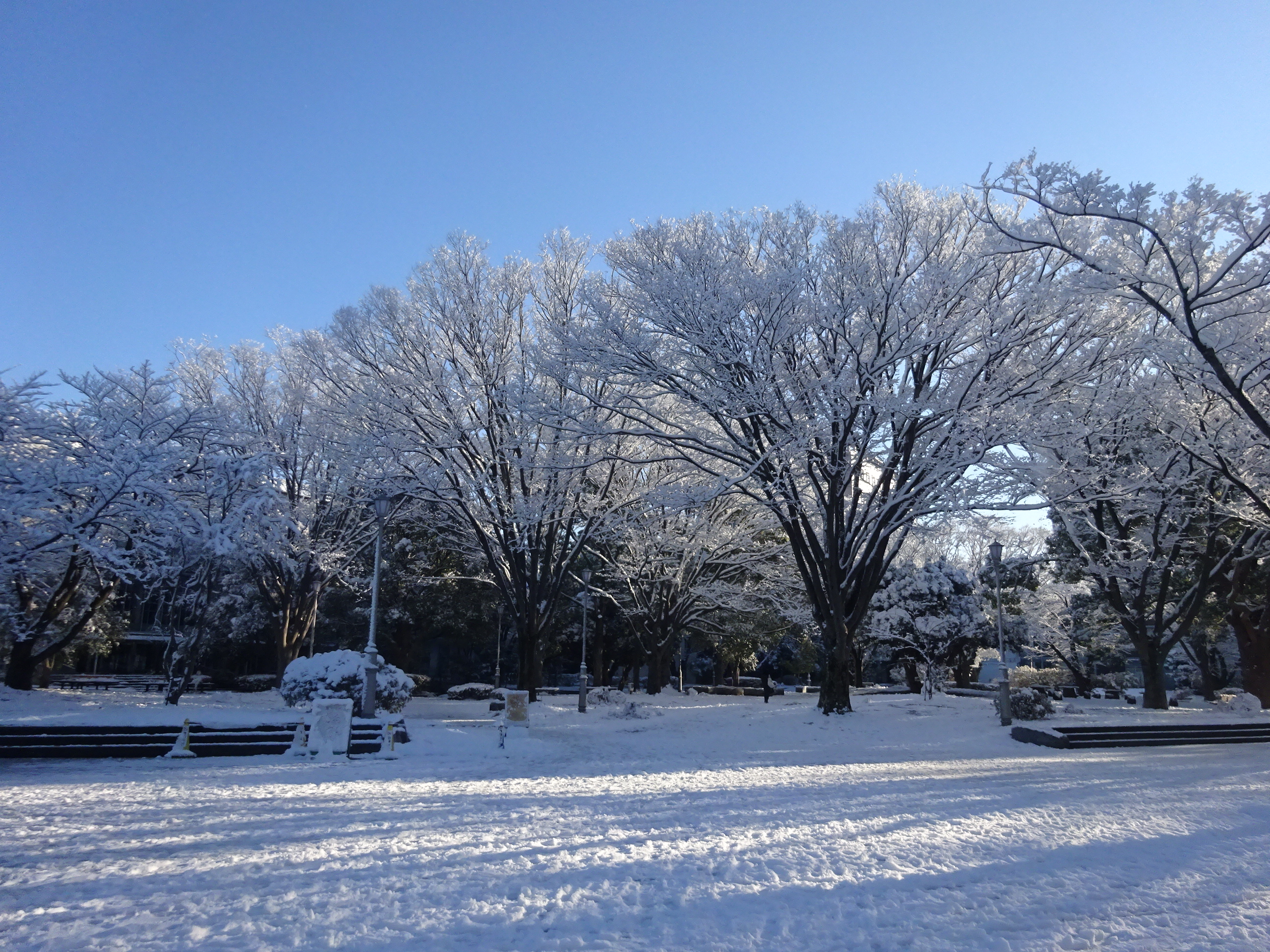 雪の構内