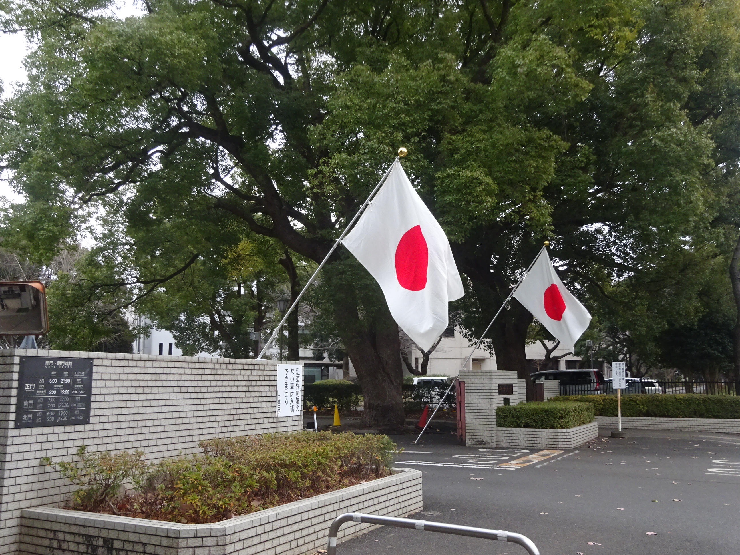 成人式の正門