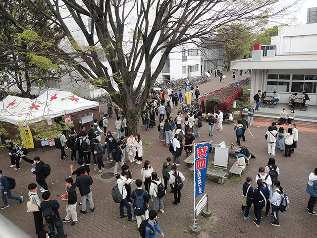 部活動・サークル活動の勧誘と看板②