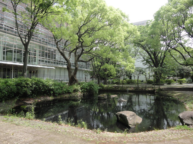 教育学部同窓会員の大学構内散歩03