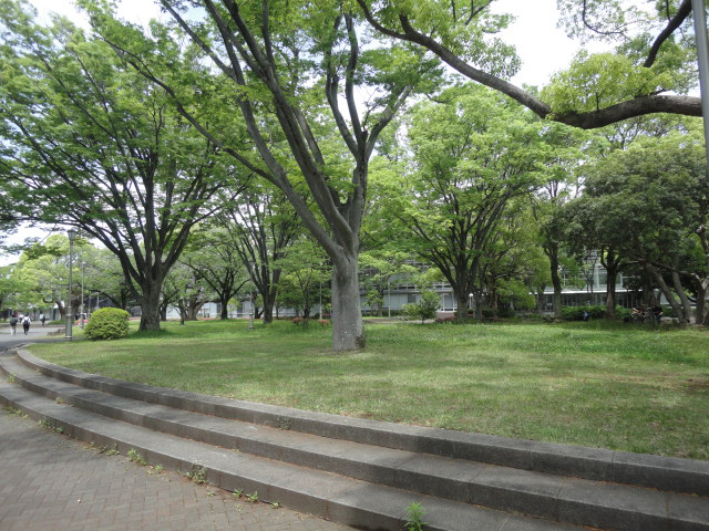 教育学部同窓会員の大学構内散歩04