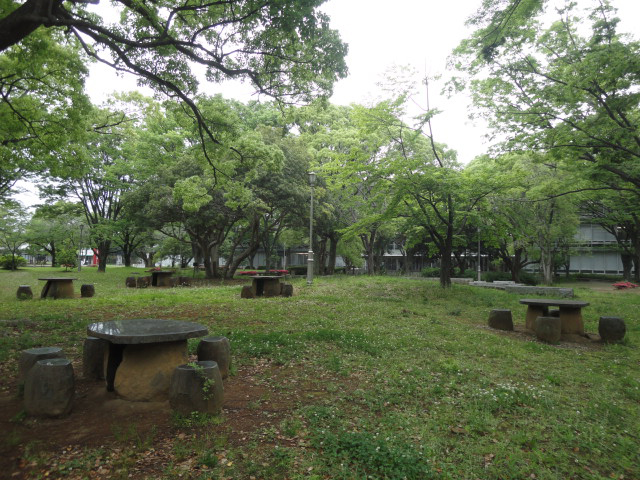 教育学部同窓会員の大学構内散歩07