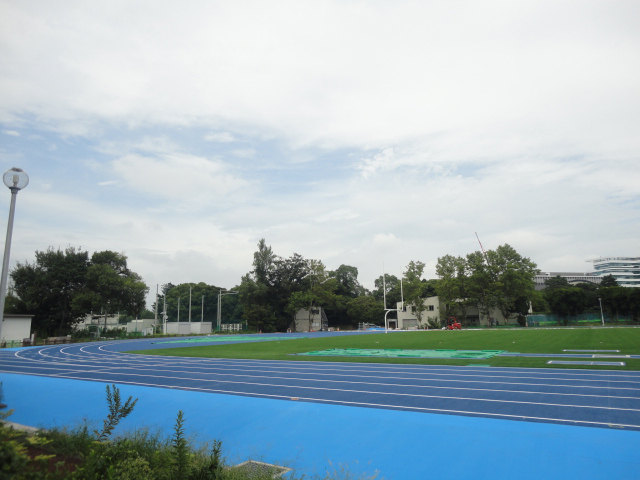 グラウンド