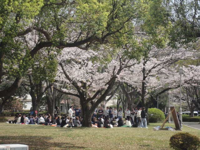 新入生歓迎の様子