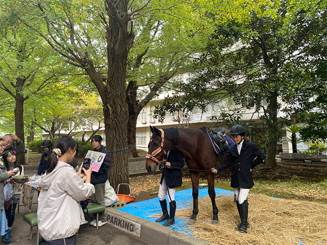 千葉大祭の様子6